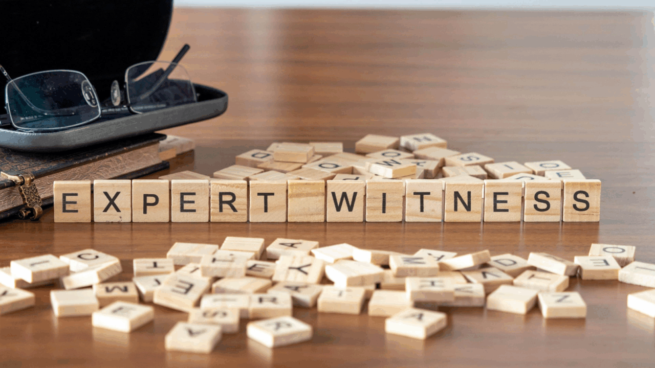 Police Pursuits Expert Witness