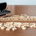 Police Pursuits Expert Witness